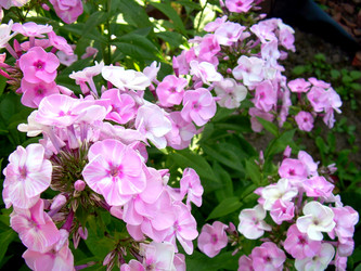 Similar image 21845930