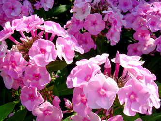 Similar image 21845932