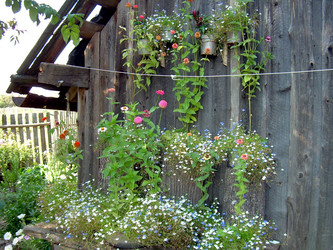 Similar image 21845935