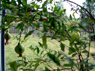 Similar image 21845936