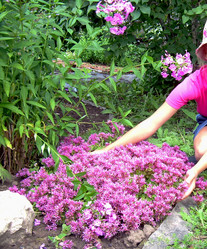 Similar image 21846040