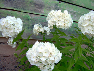 Similar image 21846041