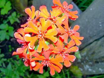 Similar image 21846043