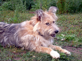 Similar image 21845937