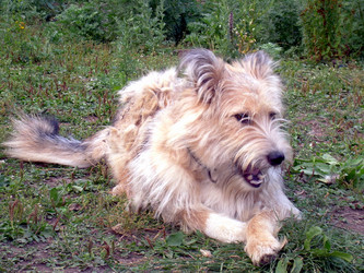 Similar image 21845938