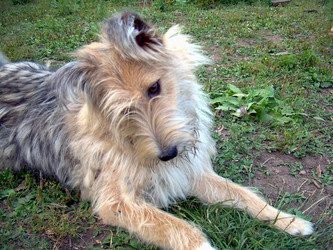 Similar image 21845939