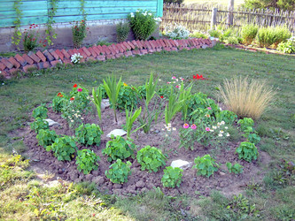 Similar image 21845945