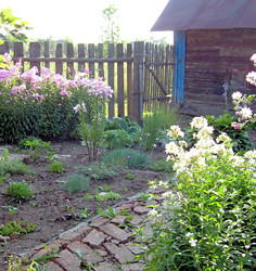 Similar image 21845963