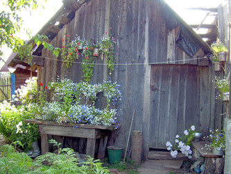 Similar image 21845965