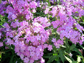 Similar image 21845967