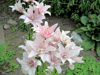 Similar image 21845968