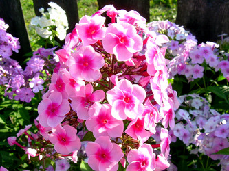 Similar image 21845969