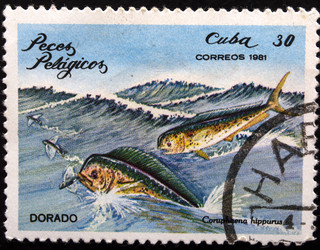 Similar image 21845979