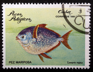 Similar image 21845981