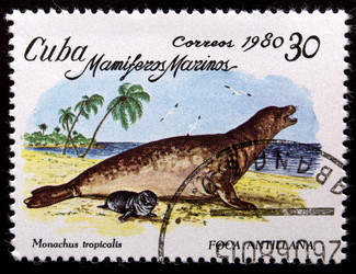 Similar image 21847837