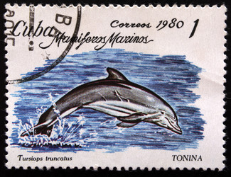 Similar image 21849173