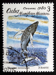 Similar image 21845998