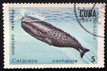 Similar image 21845999