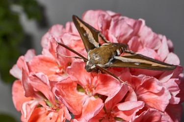 Similar image 21854658