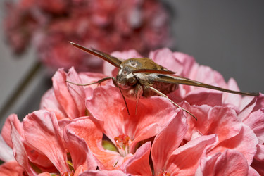 Similar image 21846001