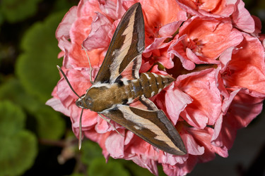 Similar image 21846002