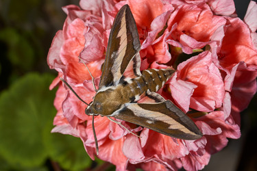 Similar image 21855972