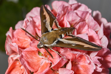 Similar image 21855557