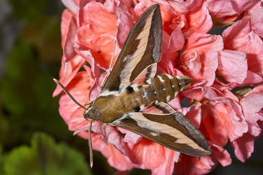 Similar image 21853698