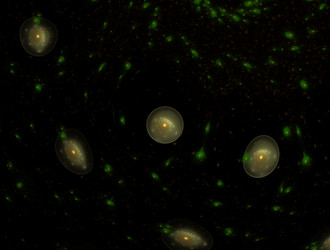 Similar image 21847525