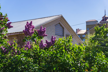 Similar image 21855641