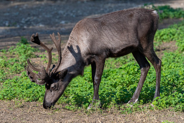 Similar image 21846008