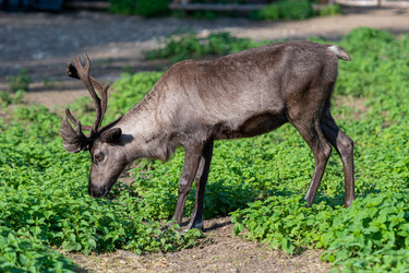 Similar image 21846009