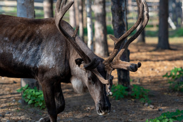 Similar image 21846010