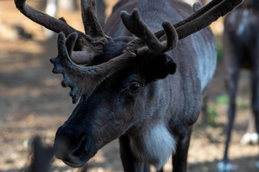 Similar image 21846011