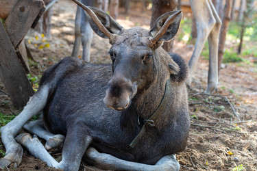 Similar image 21846012