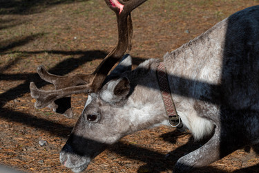 Similar image 21846013