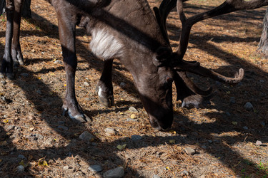 Similar image 21846014