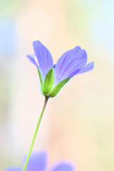 Similar image 21846020