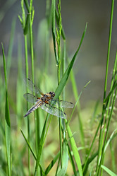 Similar image 21846022