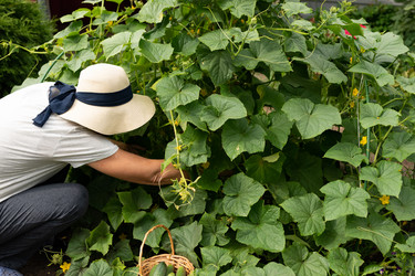 Similar image 21849002