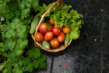 Similar image 21849004