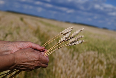 Similar image 21849009