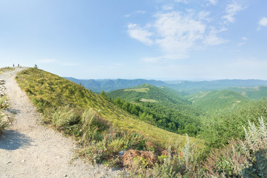 Similar image 21848087