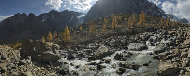 Similar image 21856398