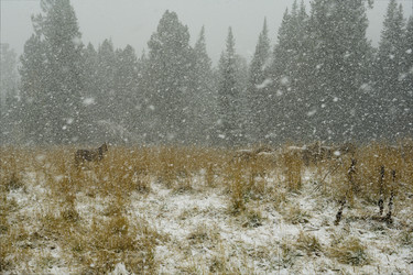 Similar image 21856400