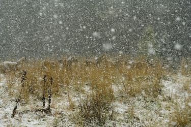 Similar image 21856401