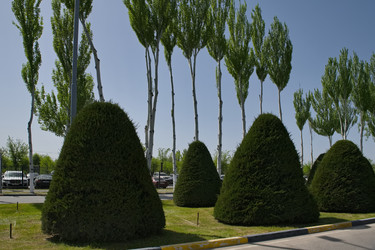 Similar image 21856402