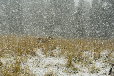 Similar image 21856403