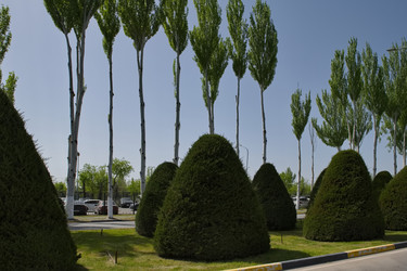 Similar image 21856404