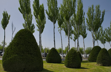 Similar image 21856406